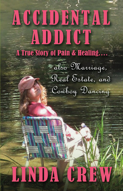 Accidental Addict main product photo