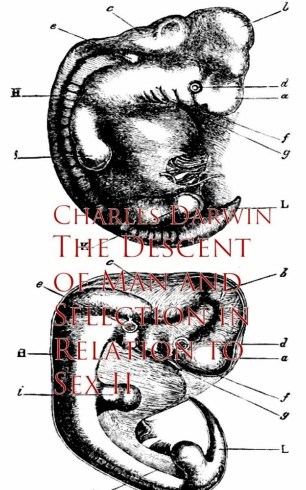 The Descent of Man and Selection in Relation to Sex II main product photo