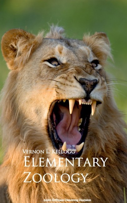 Elementary Zoology main product photo