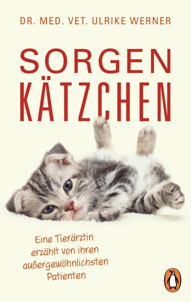 Sorgenkätzchen main product photo
