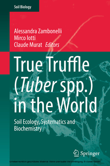 True Truffle (Tuber spp.) in the World main product photo