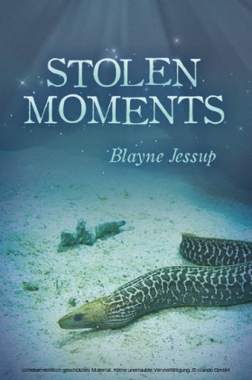 Stolen Moments
