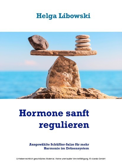 Hormone sanft regulieren main product photo