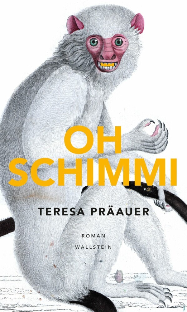 Oh Schimmi main product photo