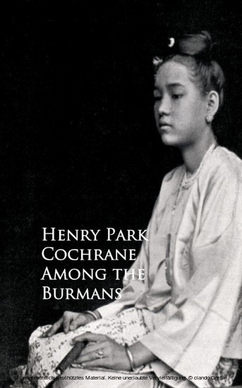 Among the Burmans main product photo