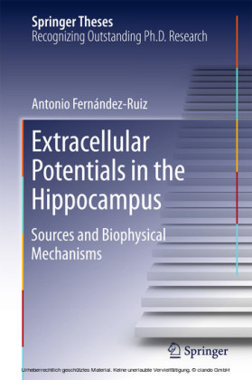Extracellular Potentials in the Hippocampus