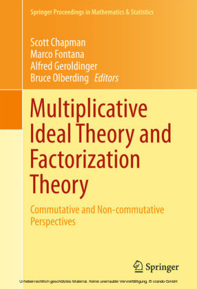 Multiplicative Ideal Theory and Factorization Theory