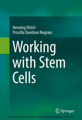 Working with Stem Cells