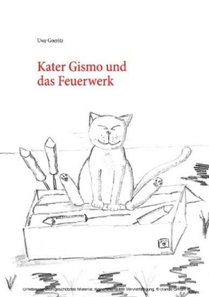 Kater Gismo und das Feuerwerk