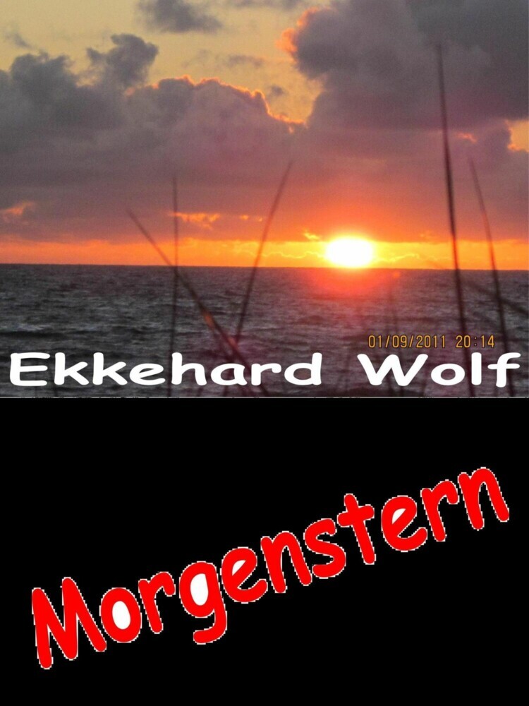Morgenstern main product photo