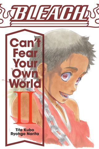 Bleach: Can't Fear Your Own World, Vol. 2 main product photo