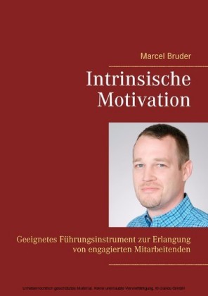Intrinsische Motivation