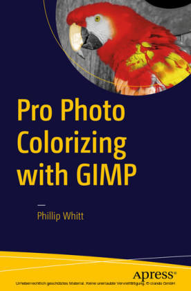 Pro Photo Colorizing with GIMP