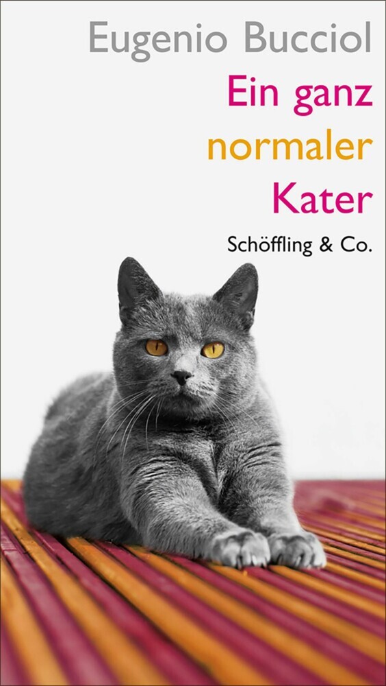 Ein ganz normaler Kater main product photo