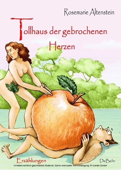 Tollhaus der gebrochenen Herzen - Erzählungen main product photo