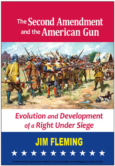 The Second Amendment and the American Gun main product photo