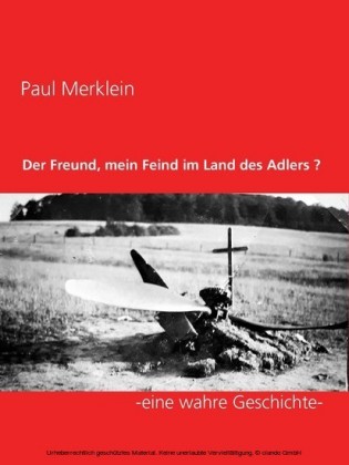 Der Freund, mein Feind im Land des Adlers ?
