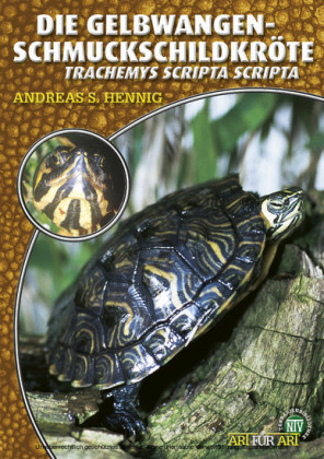 Die Gelbwangen-Schmuckschildkröte