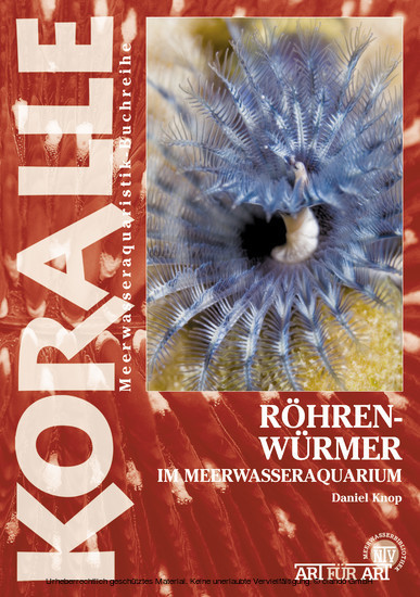 Röhrenwürmer im Meerwasseraquarium main product photo