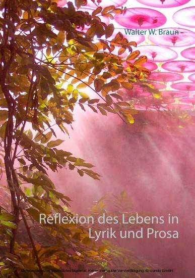 Reflexion des Lebens in Lyrik und Prosa main product photo