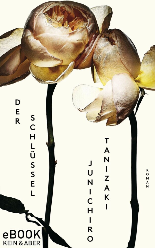 Der Schlüssel main product photo