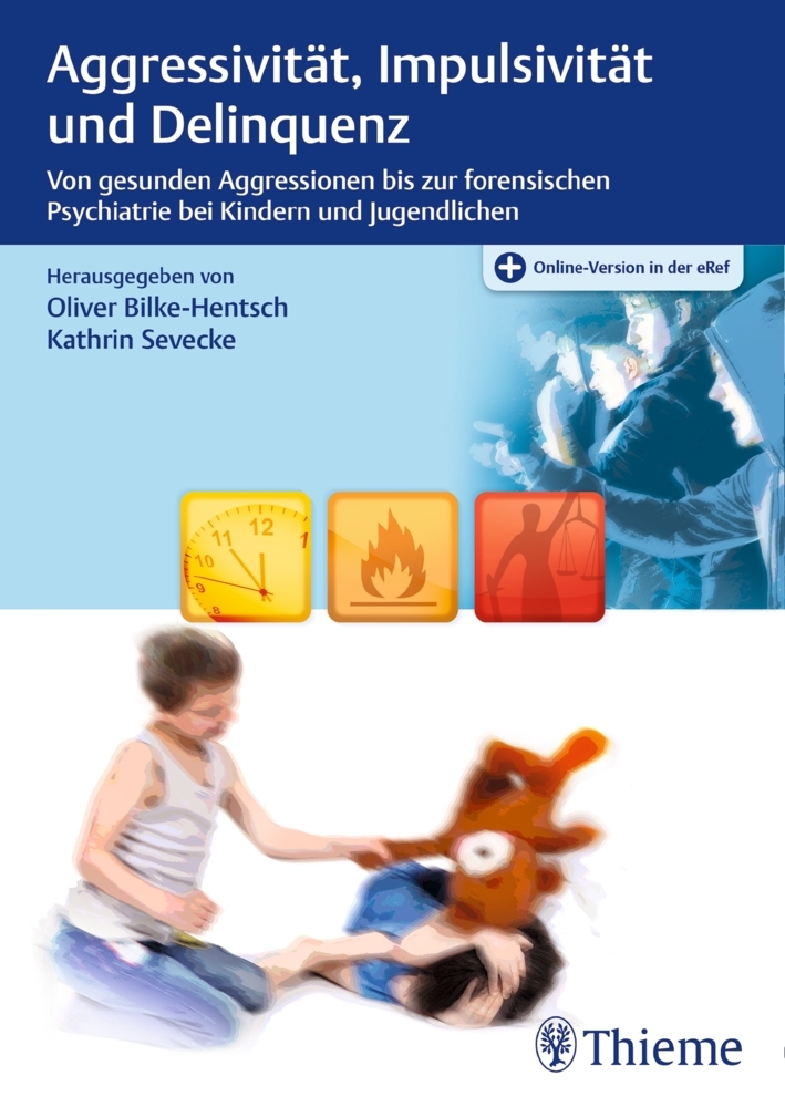 Aggressivität, Impulsivität und Delinquenz main product photo
