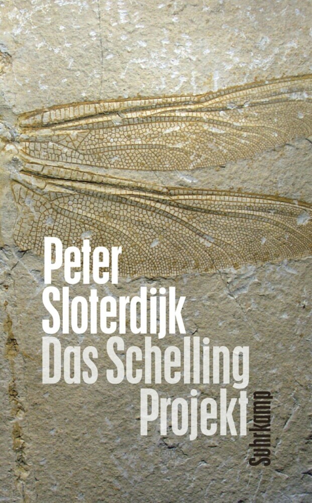 Das Schelling-Projekt main product photo