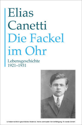 Gesammelte Werke Band 8: Die Fackel im Ohr