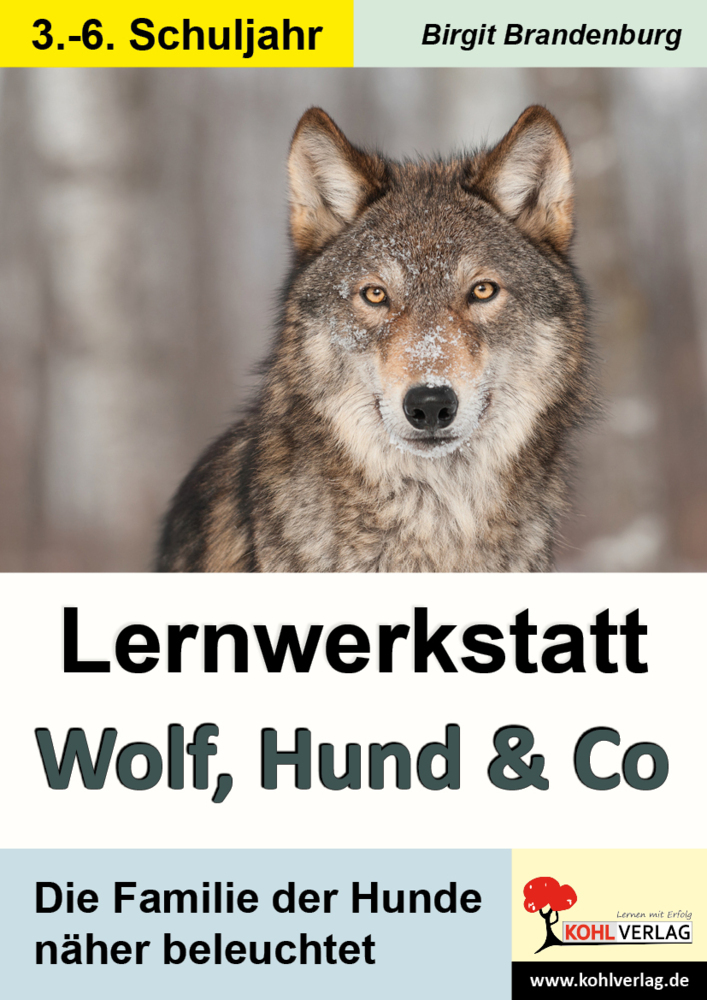 Lernwerkstatt Wolf, Hund und Co main product photo