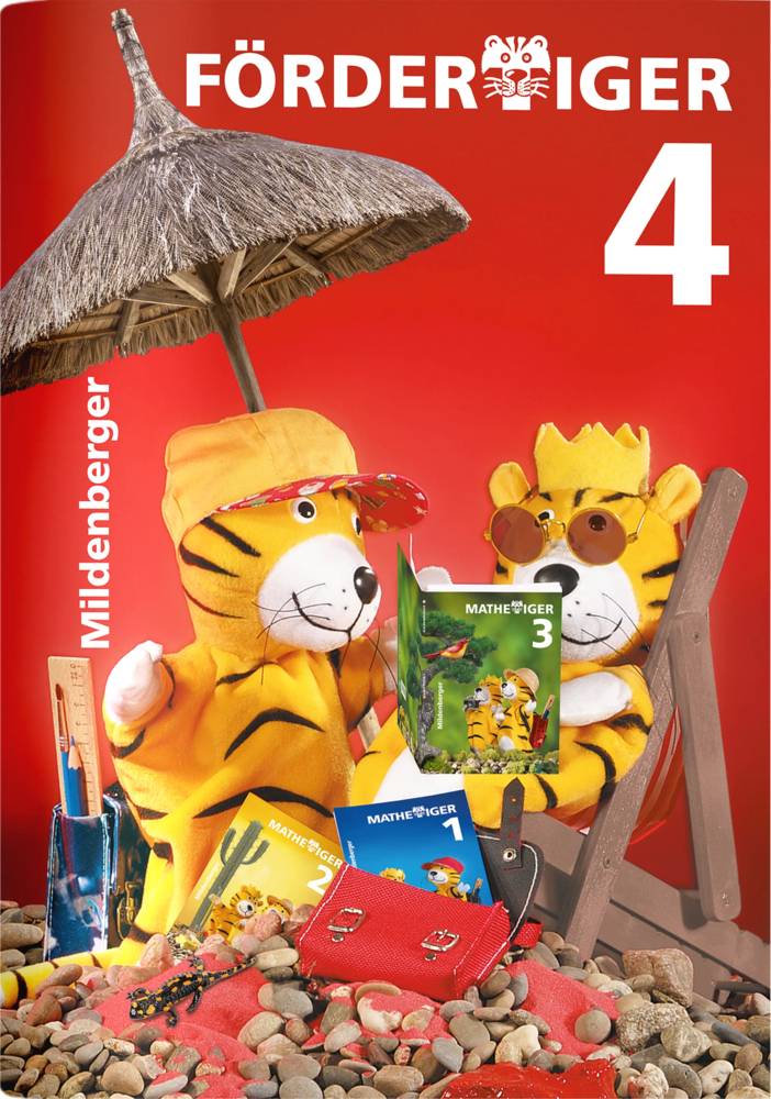 Fördertiger 4 main product photo