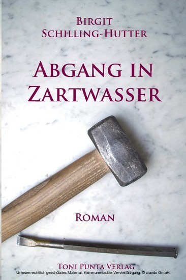 Abgang in Zartwasser main product photo