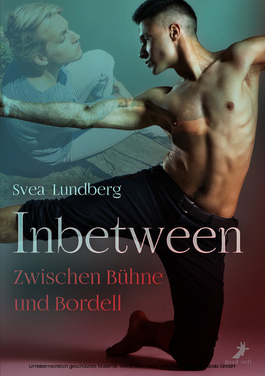 Inbetween - Zwischen Bühne und Bordell main product photo