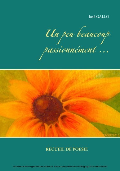 Un peu beaucoup passionnément ... main product photo