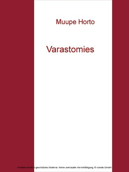 Varastomies main product photo