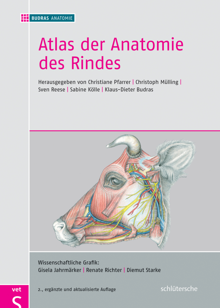 Atlas der Anatomie des Rindes main product photo