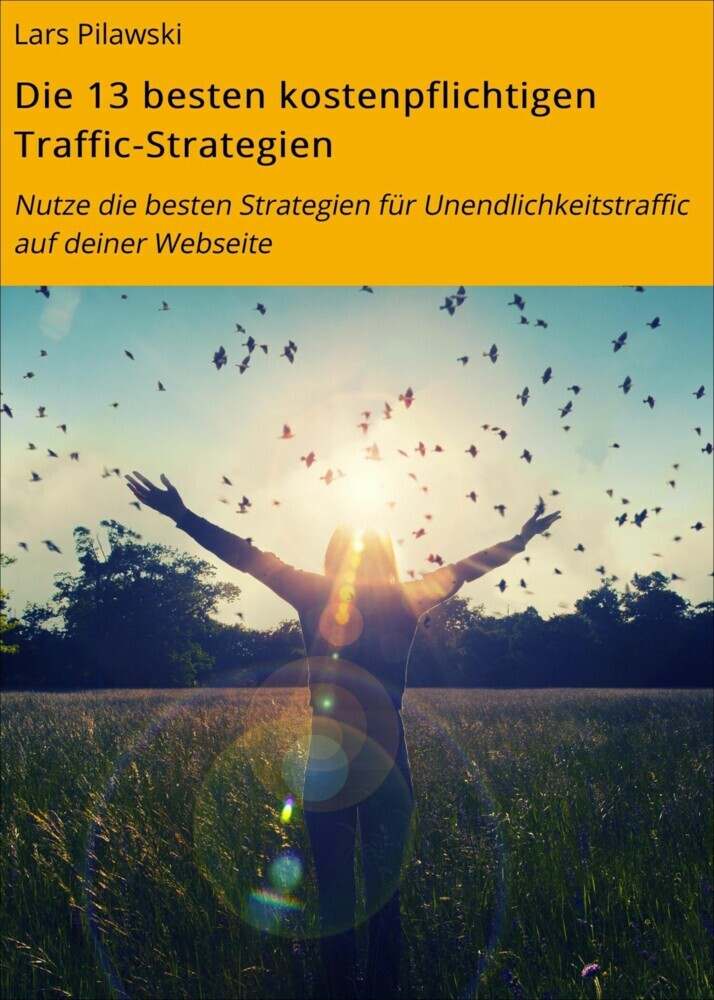 Die 13 besten kostenpflichtigen Traffic-Strategien main product photo