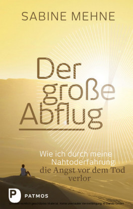 Der große Abflug
