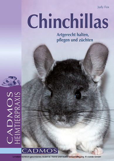 Chinchillas main product photo