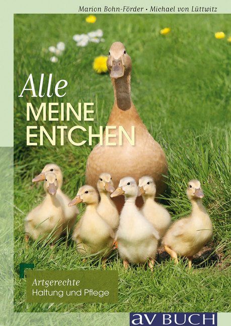 Alle meine Entchen main product photo