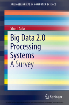Big Data 2.0 Processing Systems