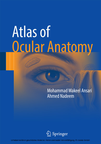 Atlas of Ocular Anatomy main product photo