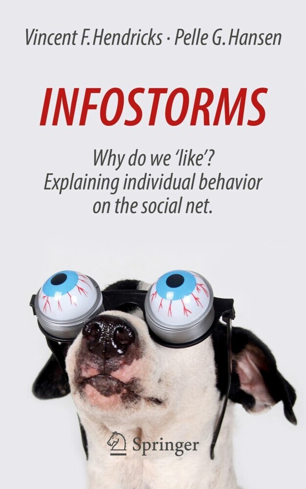 Infostorms main product photo