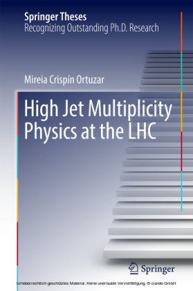 High Jet Multiplicity Physics at the LHC