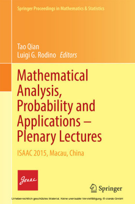 Mathematical Analysis, Probability and Applications - Plenary Lectures