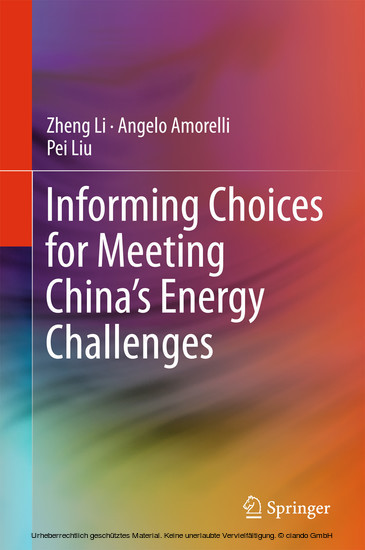 Informing Choices for Meeting China's Energy Challenges main product photo