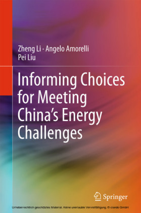 Informing Choices for Meeting China's Energy Challenges