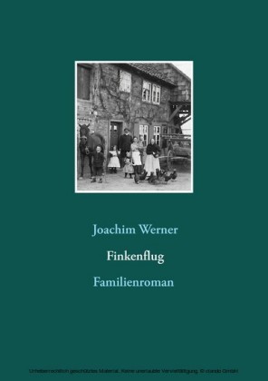 Finkenflug