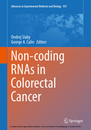 Non-coding RNAs in Colorectal Cancer