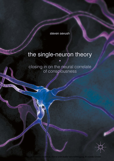 The Single-Neuron Theory main product photo