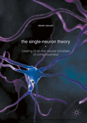 The Single-Neuron Theory
